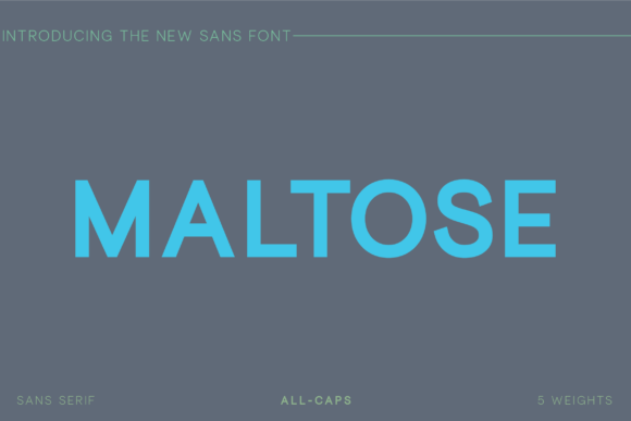 Maltose Review: A Bold Sans Serif for Modern Branding